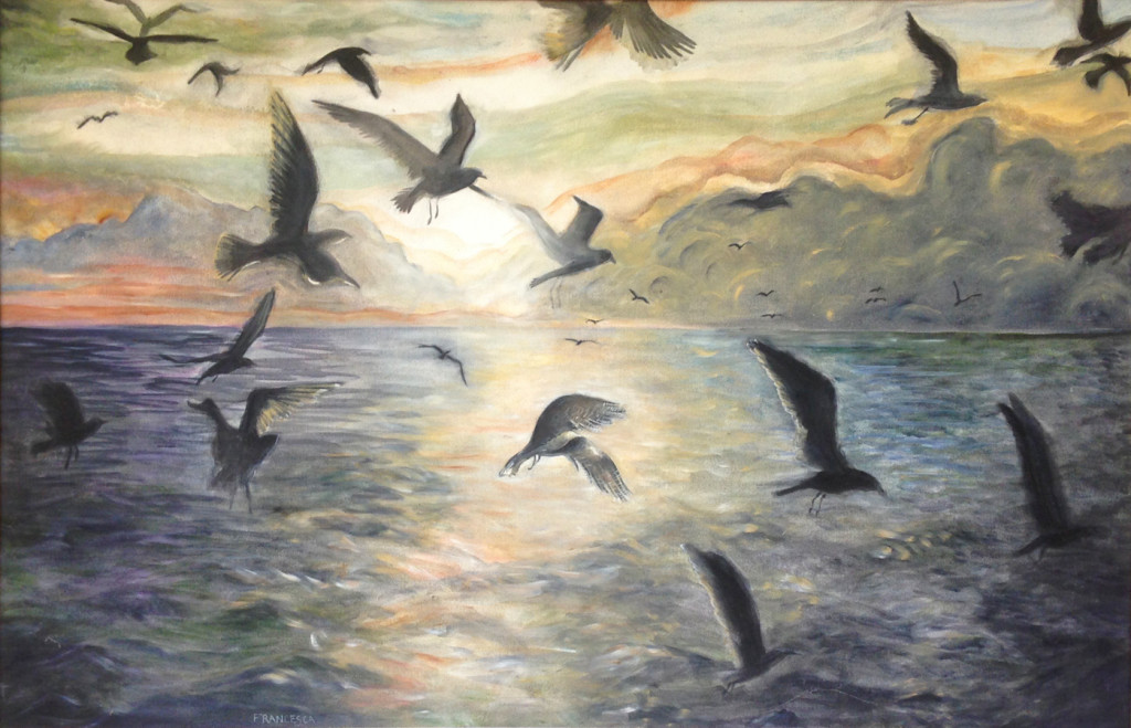 Seabirds_small